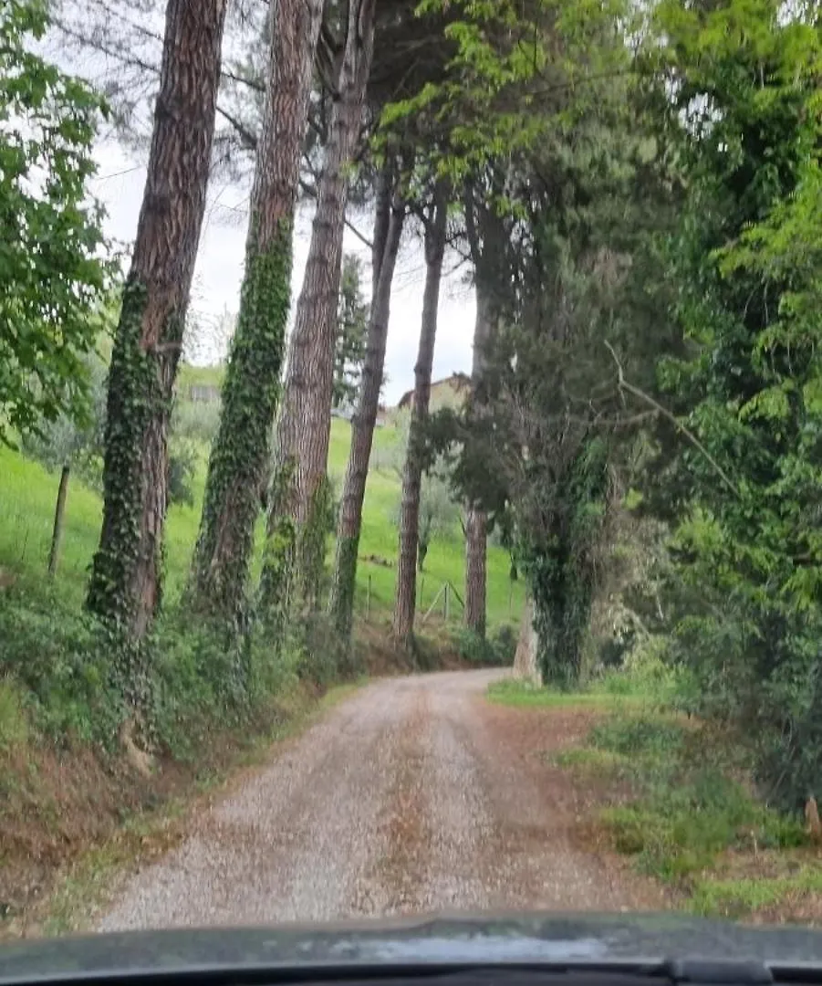 Guest house Casinello - Home For Outdoorsy Casola Valsenio