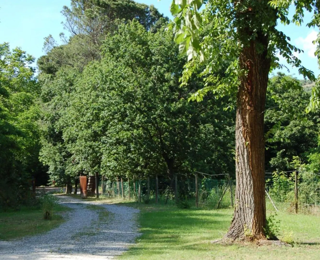 Casinello - Home For Outdoorsy Casola Valsenio Guest house